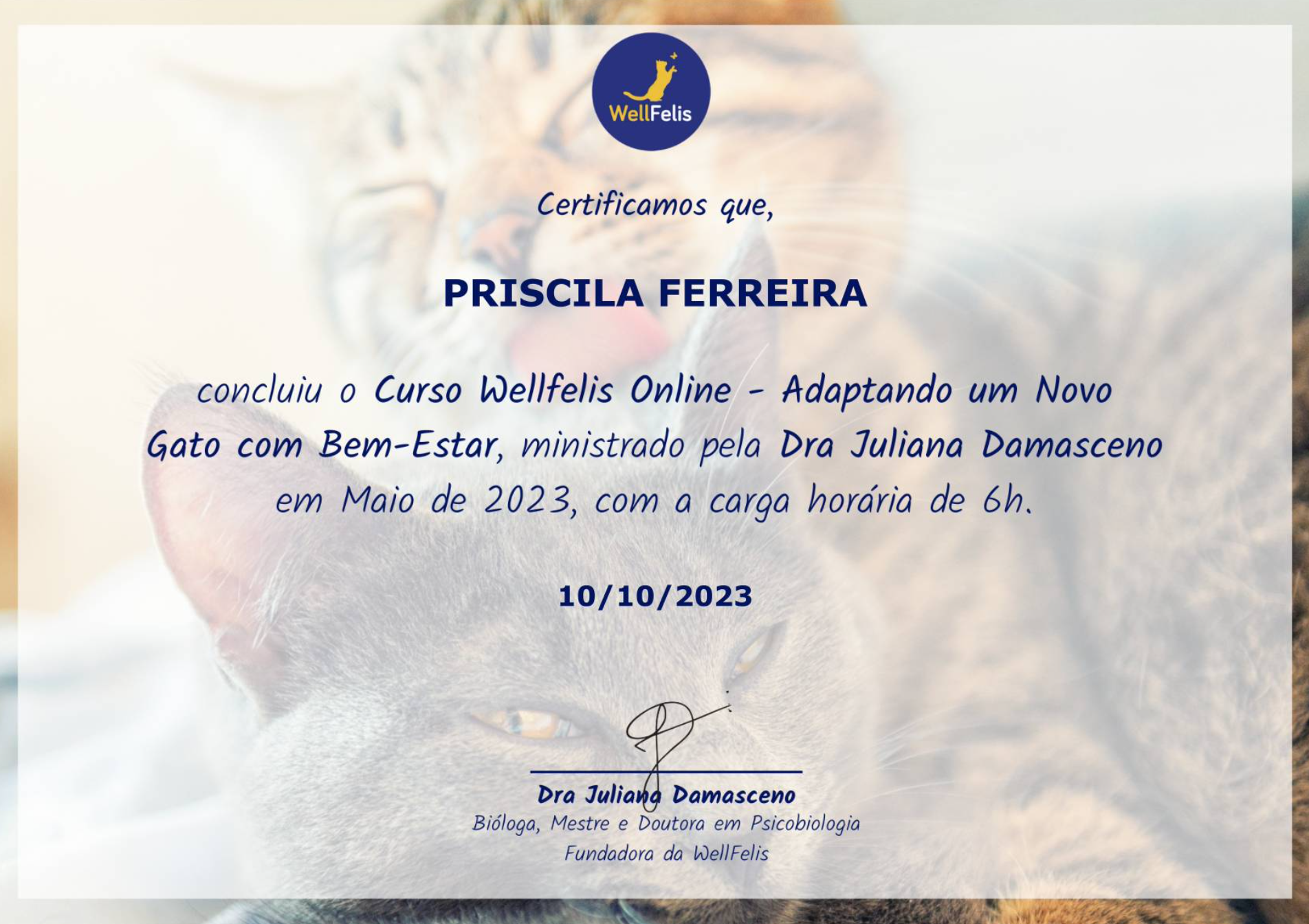 Adaptando um novo gato - Wellfelis