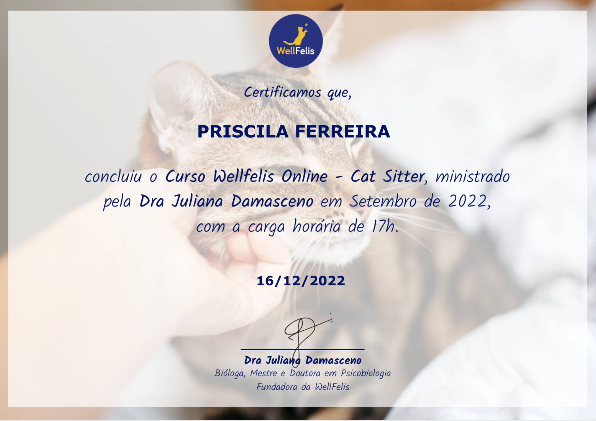 Cat Sitter - Wellfelis