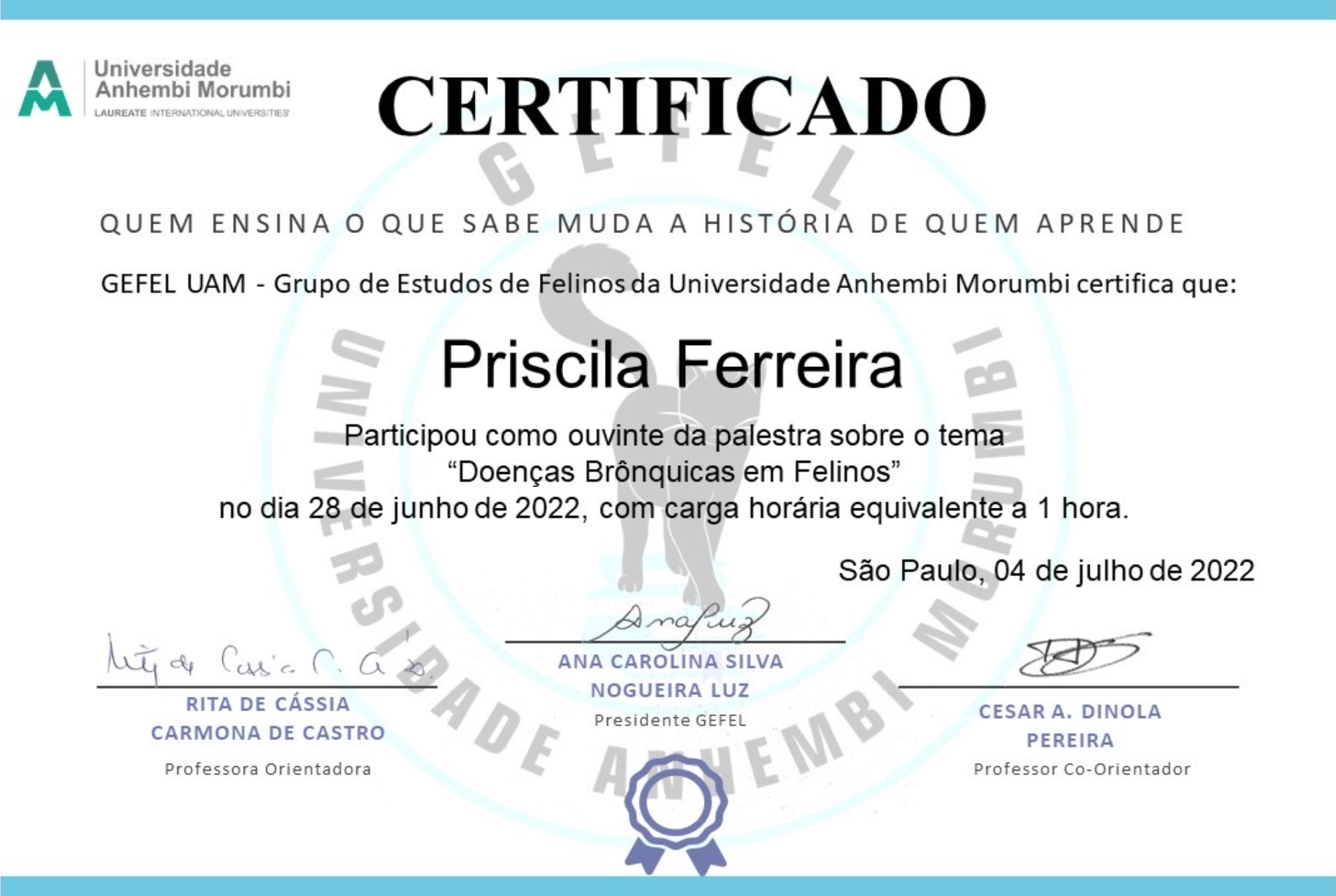 Doenças Brônquicas Felinas - Anhembi