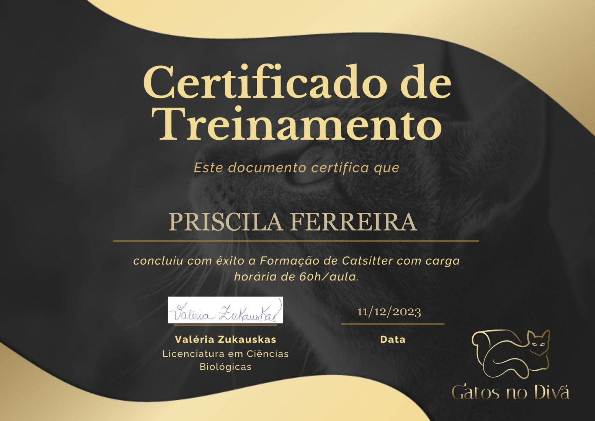 Formação Cat Sitter - Gatos no Divã